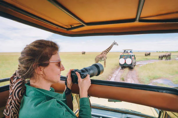 Photographic Safaris