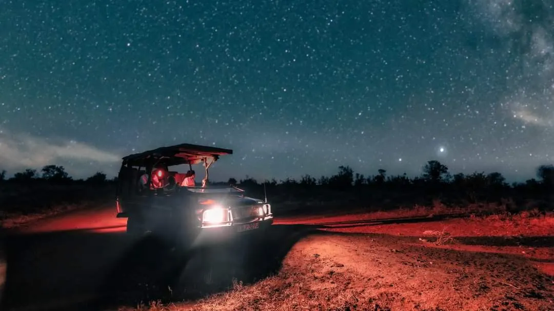 Night Game Drives