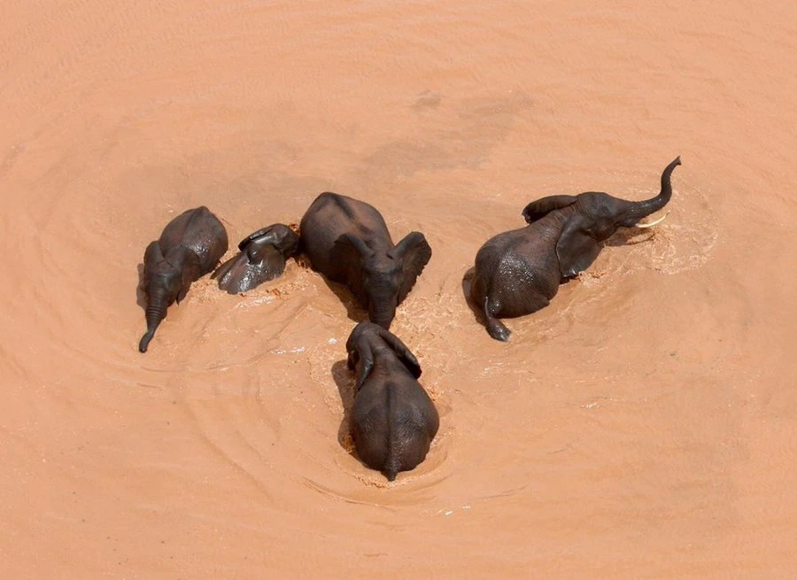Tsavo East & West