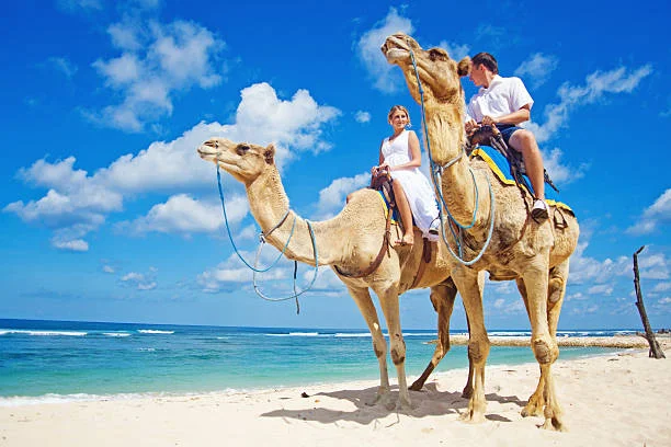 Walking/Camel Safaris