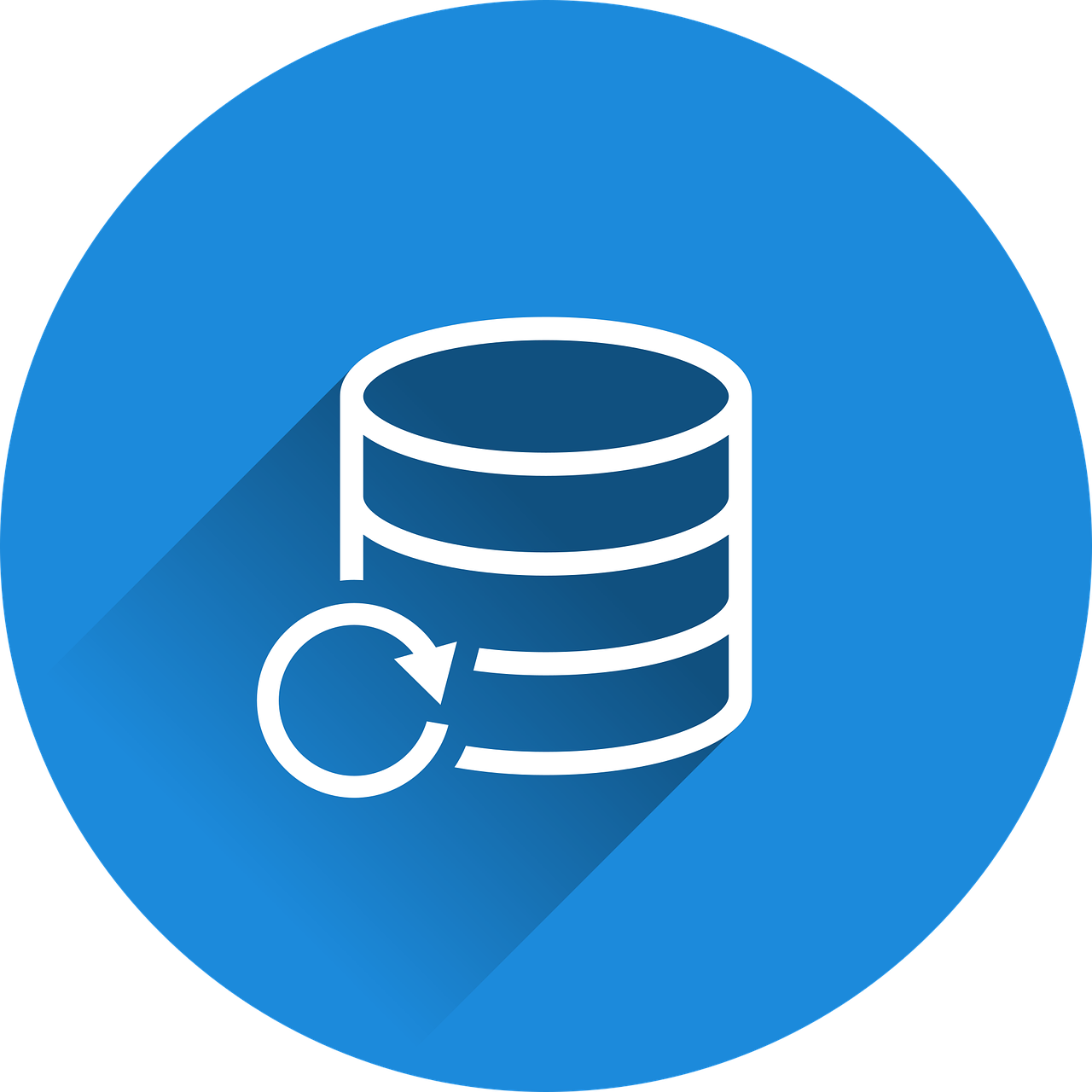 Data Entry and Database Creation
