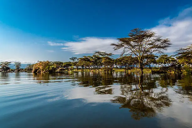 Naivasha